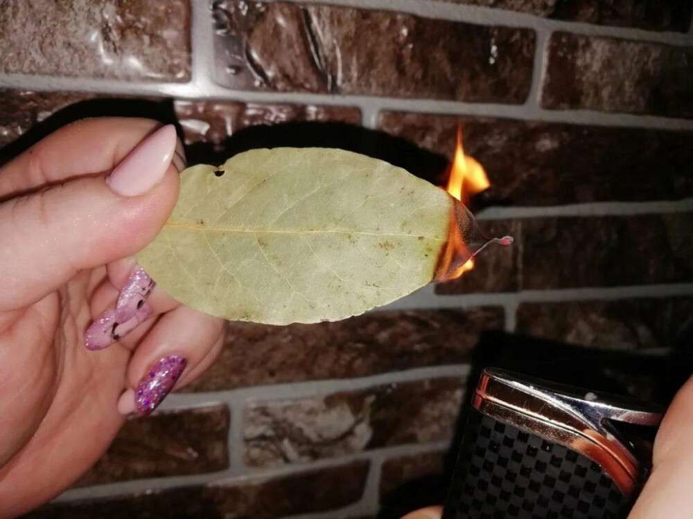 A Babérlevél (Bobkovalevél) Aromatikus Füstölése: Természetes Légfrissítés