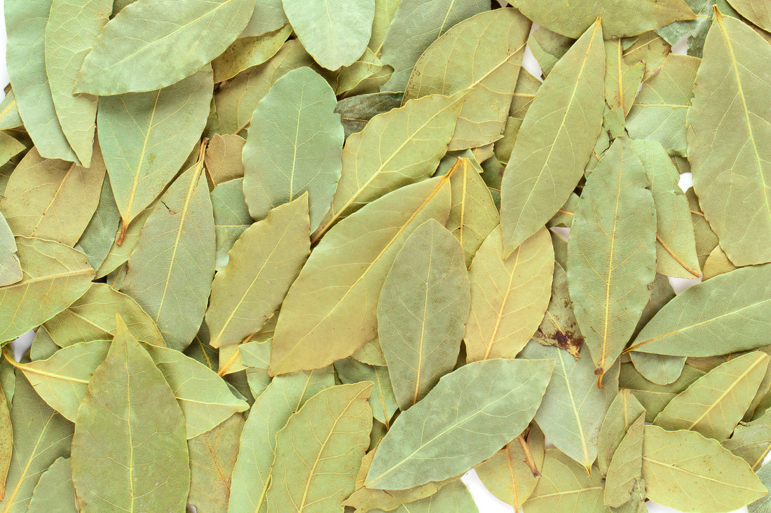 Babérlevél: Az Aromatizálás Mestere a Konyhán Túl